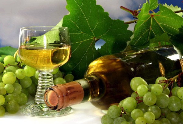 0.00000torrontes3