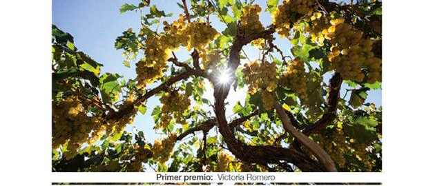 Concurso_1-159-720-420-80-c