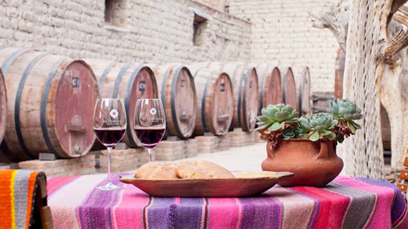 Finca El Porvenir  Bodega