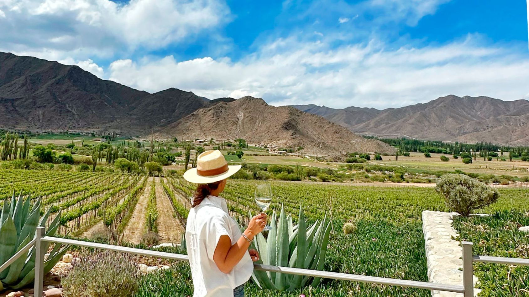 Bodega Puna