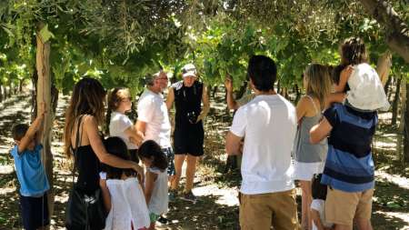 Visitas guiadas gratuitas - Finca Quara