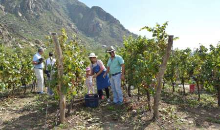 Finca Las Nubes - Bodega