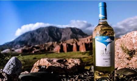 Finca Las Nubes - Bodega