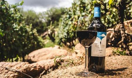 Finca Las Nubes - Bodega
