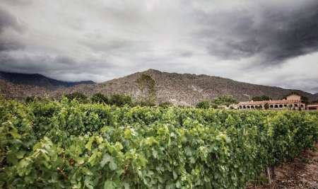 Bodega Colomé