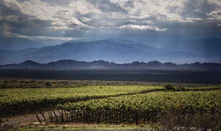 Bodega Colomé