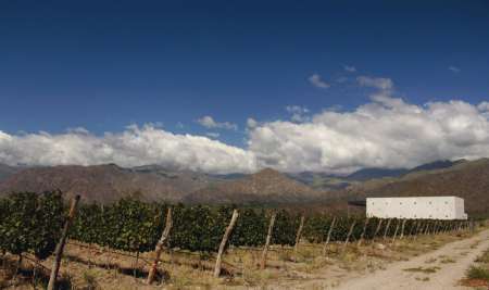 Bodega Dal Borgo