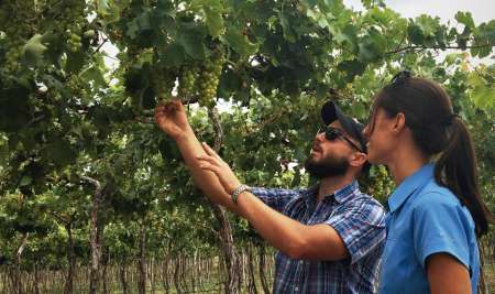 Bodega Dal Borgo