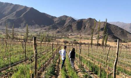 Restaurante Bodega Puna