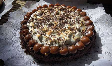Mentha Cakes