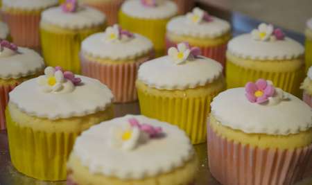 Mentha Cakes