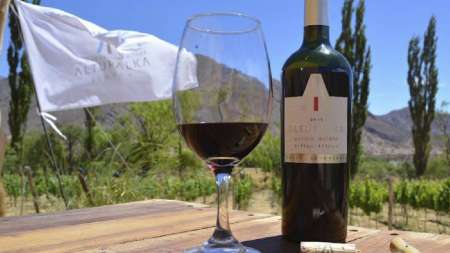 Bodega de altura, Altupalka, Cafayate- Molinos