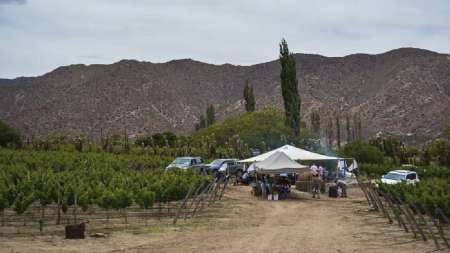 Bodega de altura, Altupalka, Cafayate- Molinos