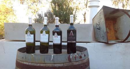 Bodega de altura, Altupalka, Cafayate- Molinos