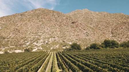 Bodega de altura, Altupalka, Cafayate- Molinos
