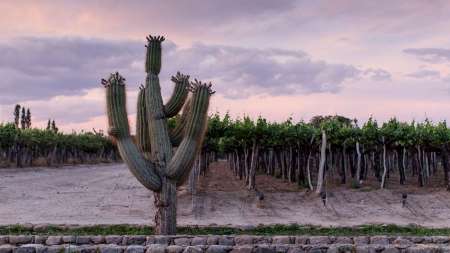 El Porvenir Finca El Retiro