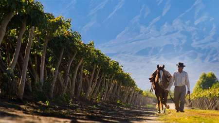 Finca El Porvenir Bodega