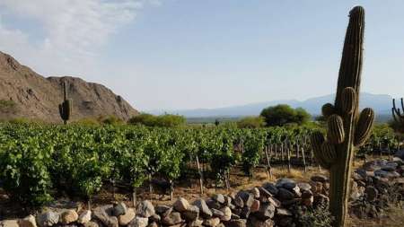 Finca El Porvenir Bodega