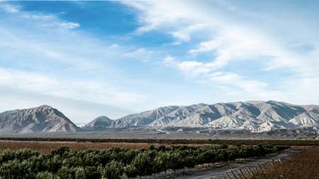 Estancia Los Cardones