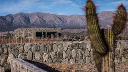 Estancia Los Cardones
