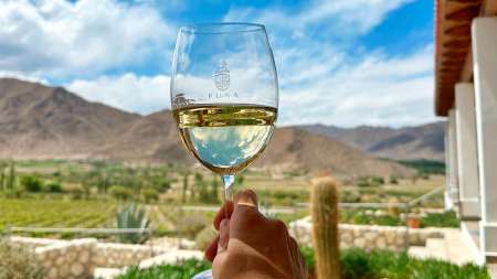 Bodega Puna