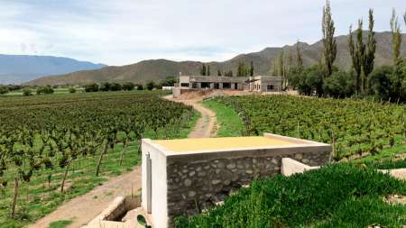 Bodega Puna