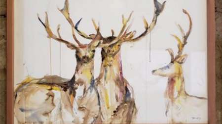 Francisca Coll Art & Design