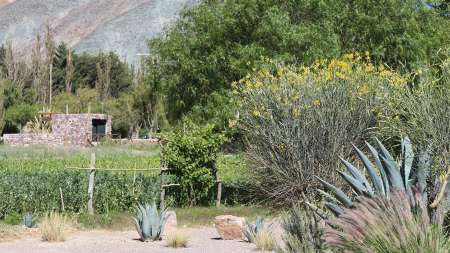 Los Ranchos de Purmamarca