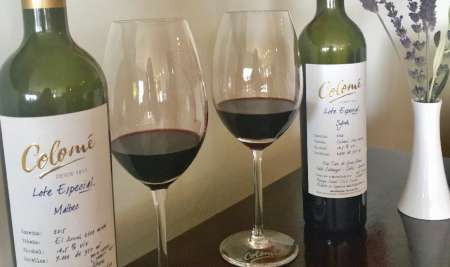 maridaje con vinos de bodega colome