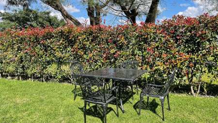 muebles de jardines de fundicion en  envios a todo el pais