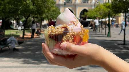 yogures helados en salta be fruit