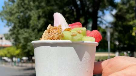 yogures helados en salta be fruit