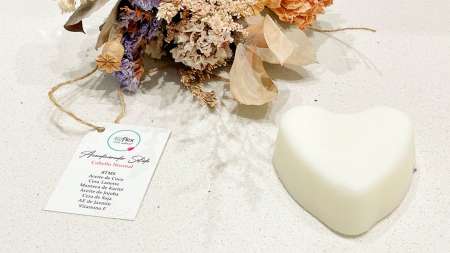 cosmetica natural salta productos sin agregados quimicos shampoo solido