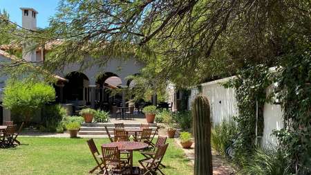 bar y vinos en cafayate