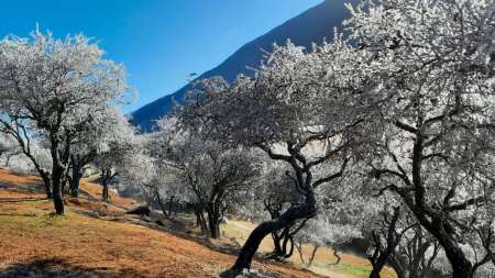 Casa de té en Bárcena (camino a la Quebrada de Humahuaca), con excelente gastronomía y paisaje