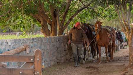 cabalgatas en cafayate