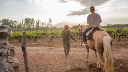 cabalgatas en cafayate