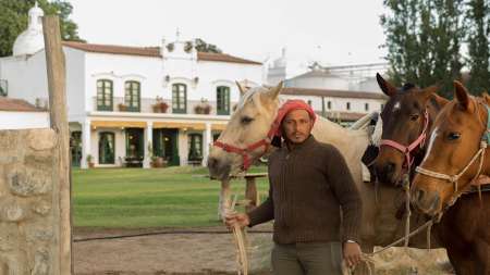 cabalgatas en cafayate