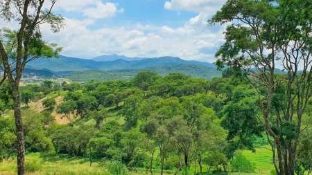 oportunidad venta lotes en salta