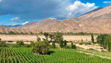 yacoraite bodega en jujuy- Estilo DV