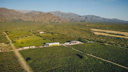 Bodega Dal Borgo, salta- Estilo DV