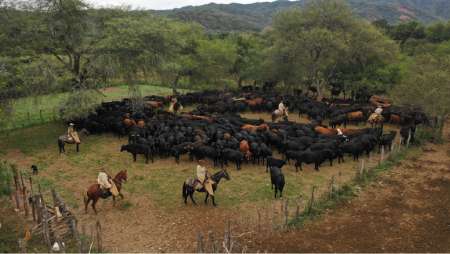 La frontera casa de campo, estancia para alquilar. Estilo DV