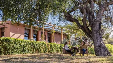 que hacer en salta, experiencias. Sentio Camps