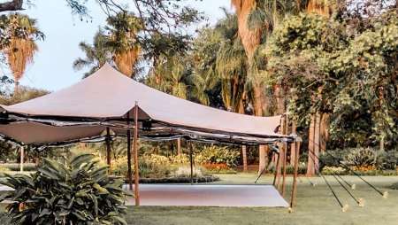 Africa Carpas