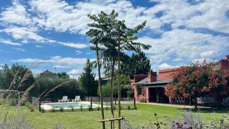 Piatelli Eventos