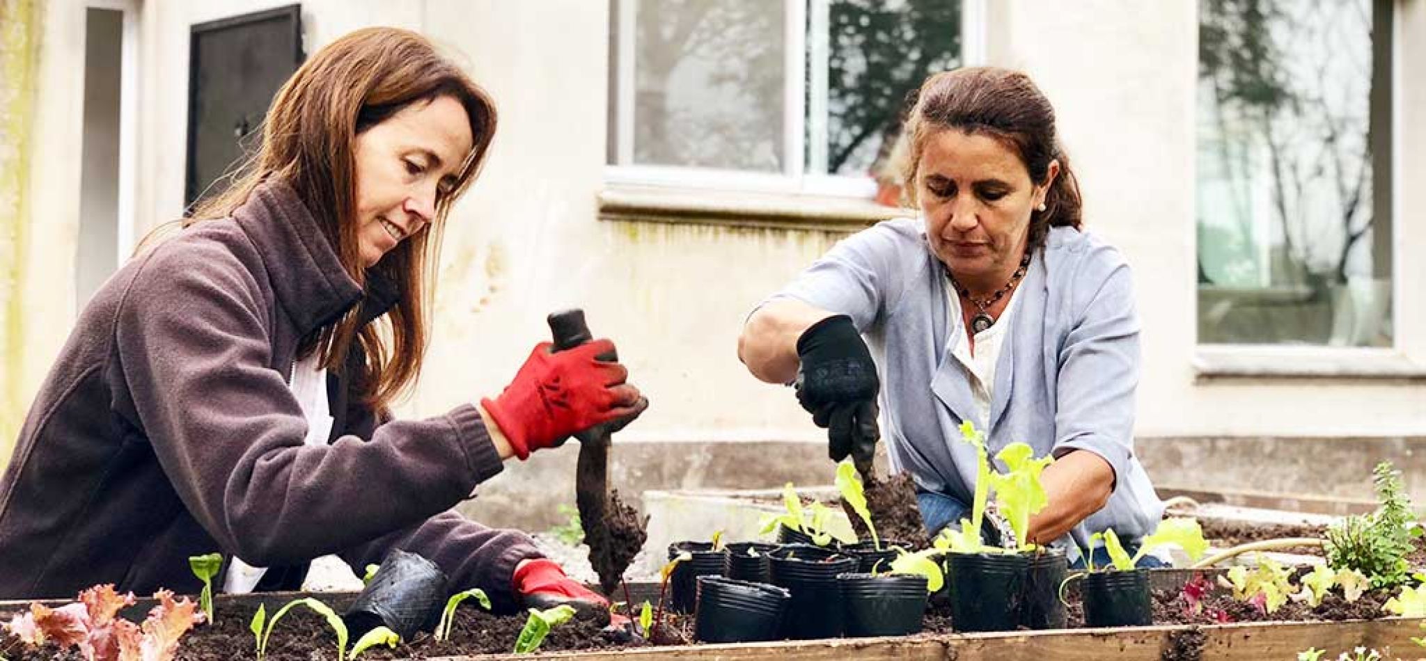 Curae: conciencia sustentable