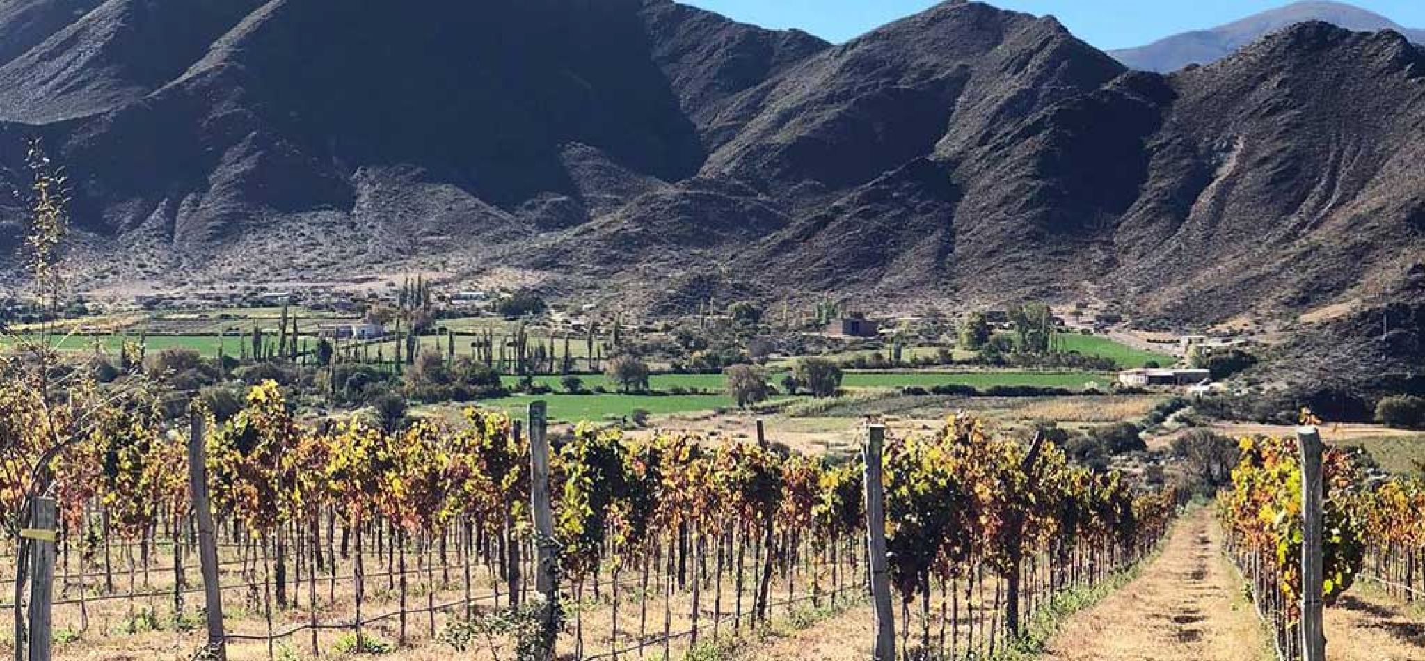 Inaugura Bodega Puna en Cachi