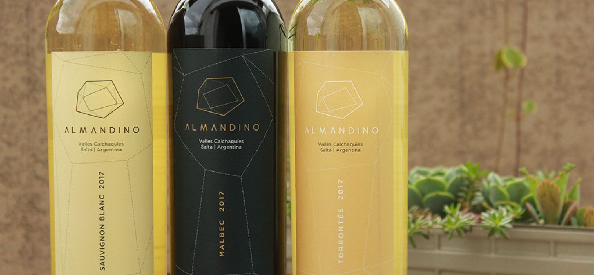 Bodega Dal Borgo: pasión por el vino y la sustentabilidad