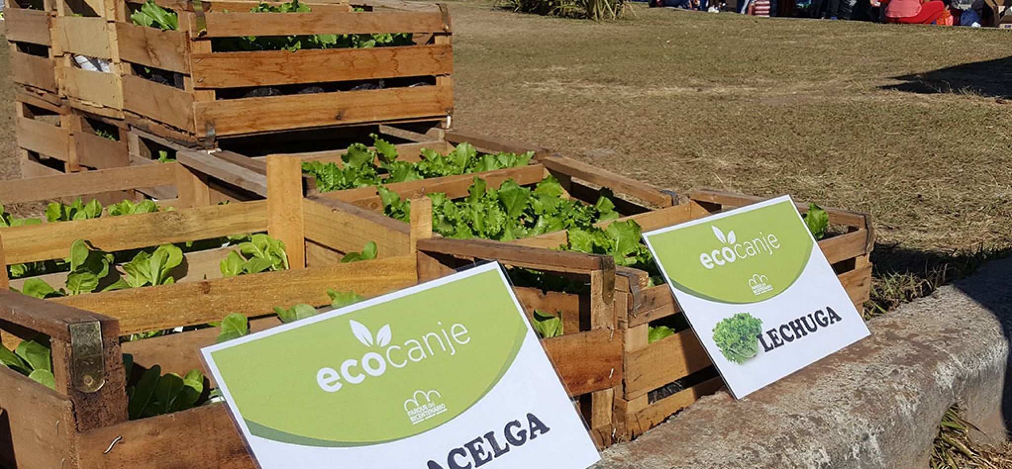 Llegó el eco canje a Salta