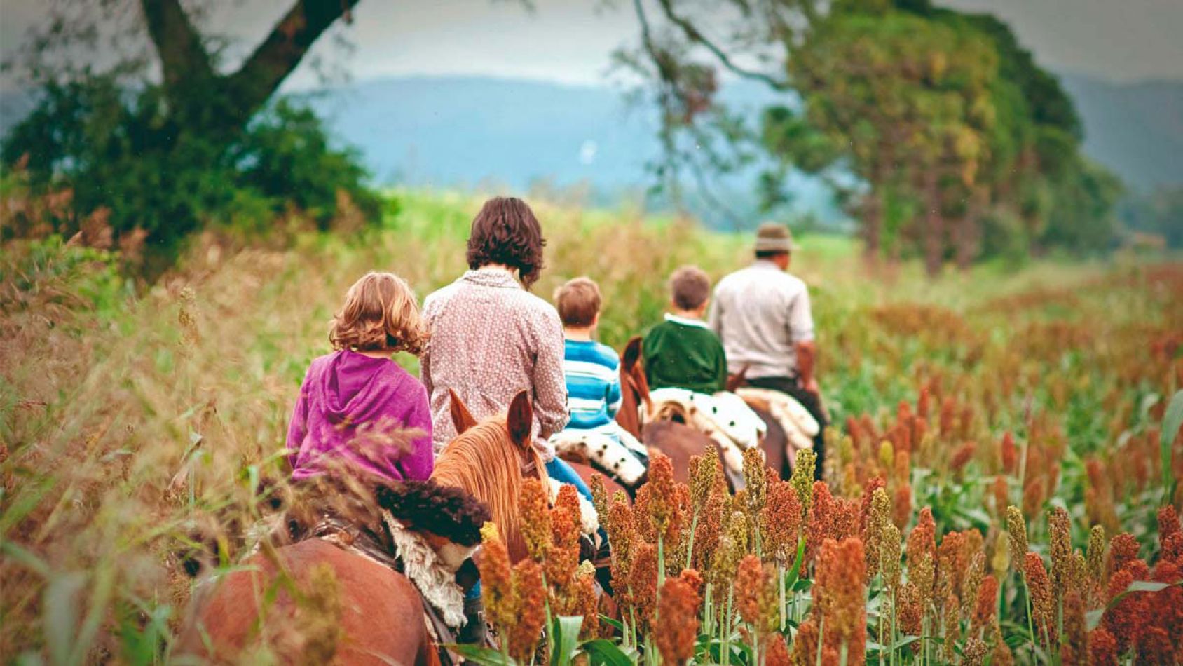 Cuatro opciones de cabalgatas en Salta